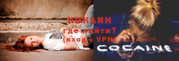 меф Ельня
