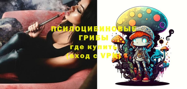 дживик Елизово