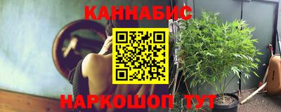скорость Дубна
