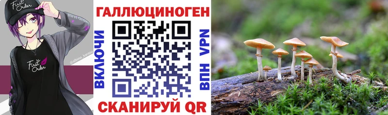 Псилоцибиновые грибы ЛСД  Уссурийск 