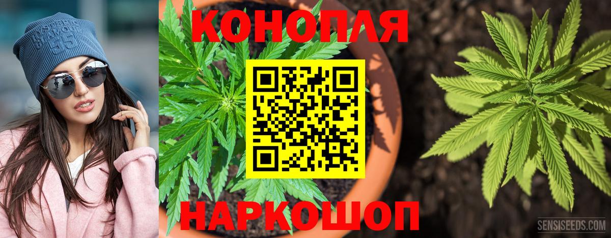 Шишки марихуана конопля Уссурийск